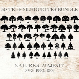 50 Clipart pacchetto silhouette albero, bosco foresta quercia PNG SVG, faggio pino frassino larice SVG, set di biologia vegetale, collezione albero vettoriale