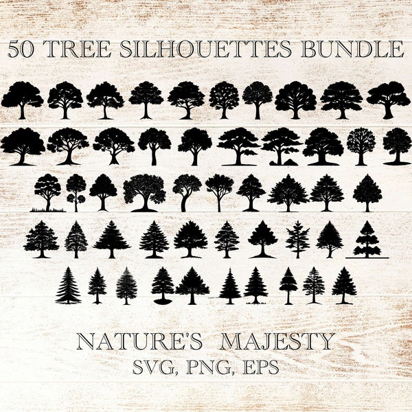 50 Tree Silhouette Bundle Clipart, Woodland Forest Oak PNG SVG, Beech Pine Ash  Larch SVG, Plant Science Biology Set, Collection Tree Vector