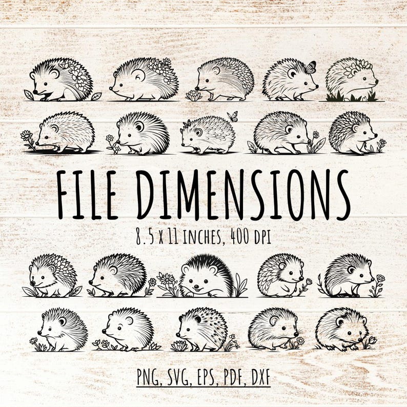 20 Cute Hedgehog Outline SVG Bundle PNG, Floral Woodland Animal Cut File, Vector Design for Scrapbooking, Junk Journal Card Making Kid Decor