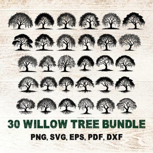 Op de afbeelding: Een verzameling van 30 zwarte wilgenboom illustraties in diverse stijlen. De afbeelding bevat de tekst "30 Willow Tree Bundle" en bestandsformaten: PNG, SVG, EPS, PDF en DXF, tegen een lichte houtnerf achtergrond.
