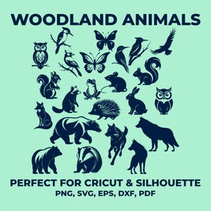 Lot de 23 animaux de la forêt SVG, oiseau pic, hibou, aigle, souris des forêts, écureuil hérisson, lapin renard, ours, papillon grenouille raton laveur, blaireau