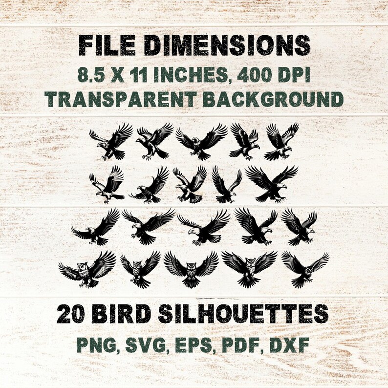 Birds of Prey SVG Bundle: Eagle, Falcon, Hawk, Owl Clipart (commercial ...