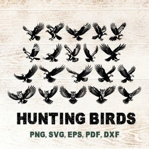 Hinting Birds of Prey SVG Bundle, Bald Eagle Falcon Hawk Owl Osprey PNG Clipart, 20 Cut File for Cricut Silhouette, POD Free Commercial Use