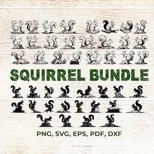 May include: A selection of squirrel illustrations in different poses, some on tree stumps. The text "SQUIRREL BUNDLE" is in green, with file format options below. The images are black and white.
