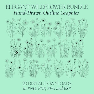 Bundle élégant de fleurs sauvages SVG, 20 contours dessinés à la main EPS graphique, illustration de plante minimaliste PNG, impression de cliparts botaniques fines herbes