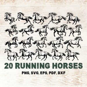 Könnte beinhalten: Eine digitale Grafik mit zwanzig schwarzen Silhouetten von galoppierenden Pferden. Der Text "20 RUNNING HORSES" ist darunter zu sehen, mit den Dateityp-Optionen: PNG, SVG, EPS, PDF und DXF.