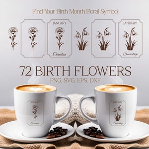 Geburtsblume SVG Bundle, Monat Geburt Blume SVG, 72 Schnittdatei für personalisiertes Geschenk, Blumendekor Ankündigungskarte, Rahmen Cricut Silhouette