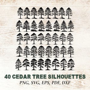 Paquete SVG de 40 cedros, colección de siluetas de cedros en formato PNG, diversidad para proyectos escolares, ideas de manualidades con elementos de la naturaleza