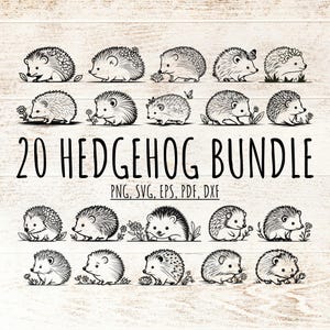 Paquete de 20 lindos contornos de erizo SVG PNG, archivo de corte de animales del bosque con flores, diseño vectorial para álbumes de recortes, creación de tarjetas de diario basura, decoración para niños