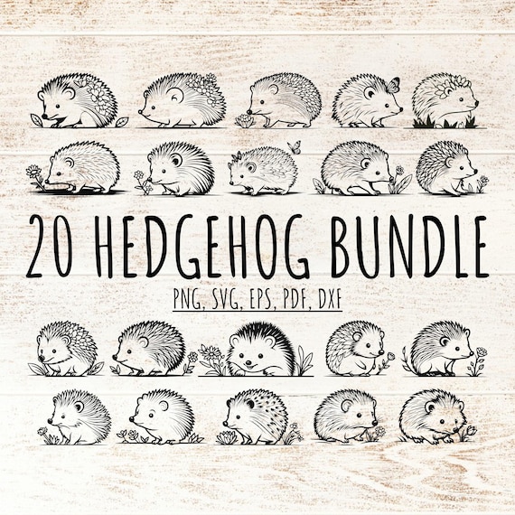 20 Cute Hedgehog Outline SVG Bundle PNG, Floral Woodland Animal Cut File, Vector Design for Scrapbooking, Junk Journal Card Making Kid Decor