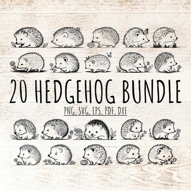 20 Cute Hedgehog Outline SVG Bundle PNG, Floral Woodland Animal Cut File, Vector Design for Scrapbooking, Junk Journal Card Making Kid Decor