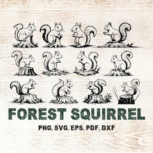 May include: A series of black and white illustrations depicting squirrels in different positions, sitting on tree stumps and logs. The text "FOREST SQUIRREL" is in a green, distressed font, with file format options below.