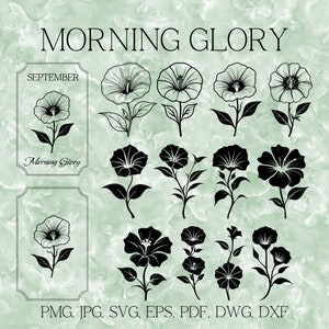 Paquete SVG de Morning Glory, flor PNG del mes de nacimiento de septiembre, anuncio floral para invitación de cumpleaños, tarjetas de felicitación, gráficos de papelería