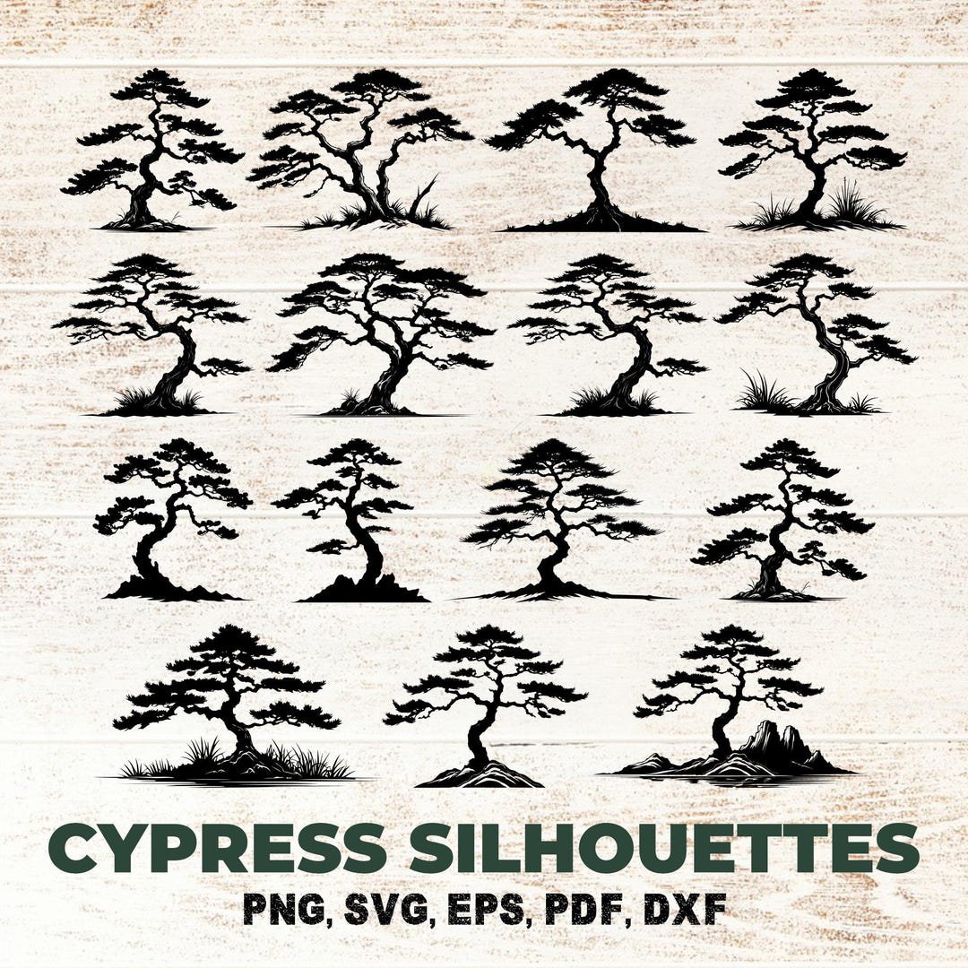 Asian Cypress Tree SVG Bundle, Education Evergreen Forest Diversity ...