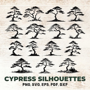 Ensemble SVG cyprès asiatique, éducation diversité de la forêt à feuilles persistantes, idée d'artisanat nature pour la décoration de la maison, signalisation d'invitation à un événement PNG DXF