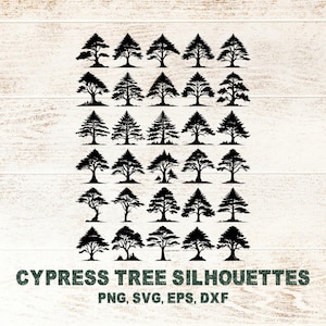 Lot de 30 cyprès SVG, cyprès forêt pin PNG DXF, diversité à feuilles persistantes pour projets scolaires, idées d'artisanat nature Pod usage commercial gratuit