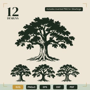 SVG-bundel met Engelse eiken | 12 botanische illustraties in PNG-formaat | Handgetekende boomwortels in DXF-formaat | Logo's, verpakkingen en branding | Commercieel gebruik