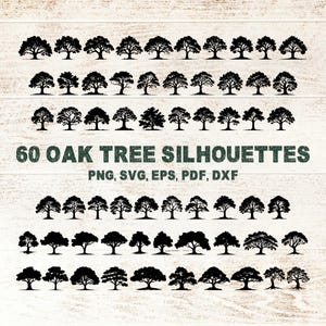 Paquete de 60 SVG de robles, silueta de roble de bosque, diversidad de robles para proyectos escolares, ideas de manualidades naturales con POD gratuito para uso comercial.