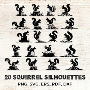 May include: A collection of 20 black squirrel silhouettes in different poses, set on tree stumps and grassy areas. The image includes the text "20 SQUIRREL SILHOUETTES" at the bottom, along with file type options: PNG, SVG, EPS, PDF, DXF.