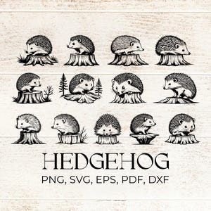 Hedgehog Outline SVG Bundle, Forest Animal Tree Stump PNG, Woodland Cut File DXF, Vector for Scrapbooking Junk Journal Card Making Party Set