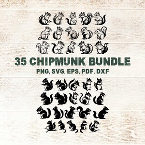 May include: A set of 35 chipmunk illustrations in black and white. The text "35 CHIPMUNK BUNDLE" is displayed in a dark green font, with file type options: PNG, SVG, EPS, PDF, and DXF. The chipmunks are in various poses.