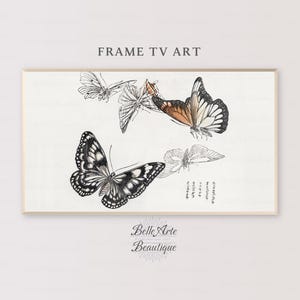 Frame TV | Morimoto Toko - Butterflies illustration, soft, Japanese art, pastel colors, black and white, Ukiyo-e, tranquil art print | 0053F
