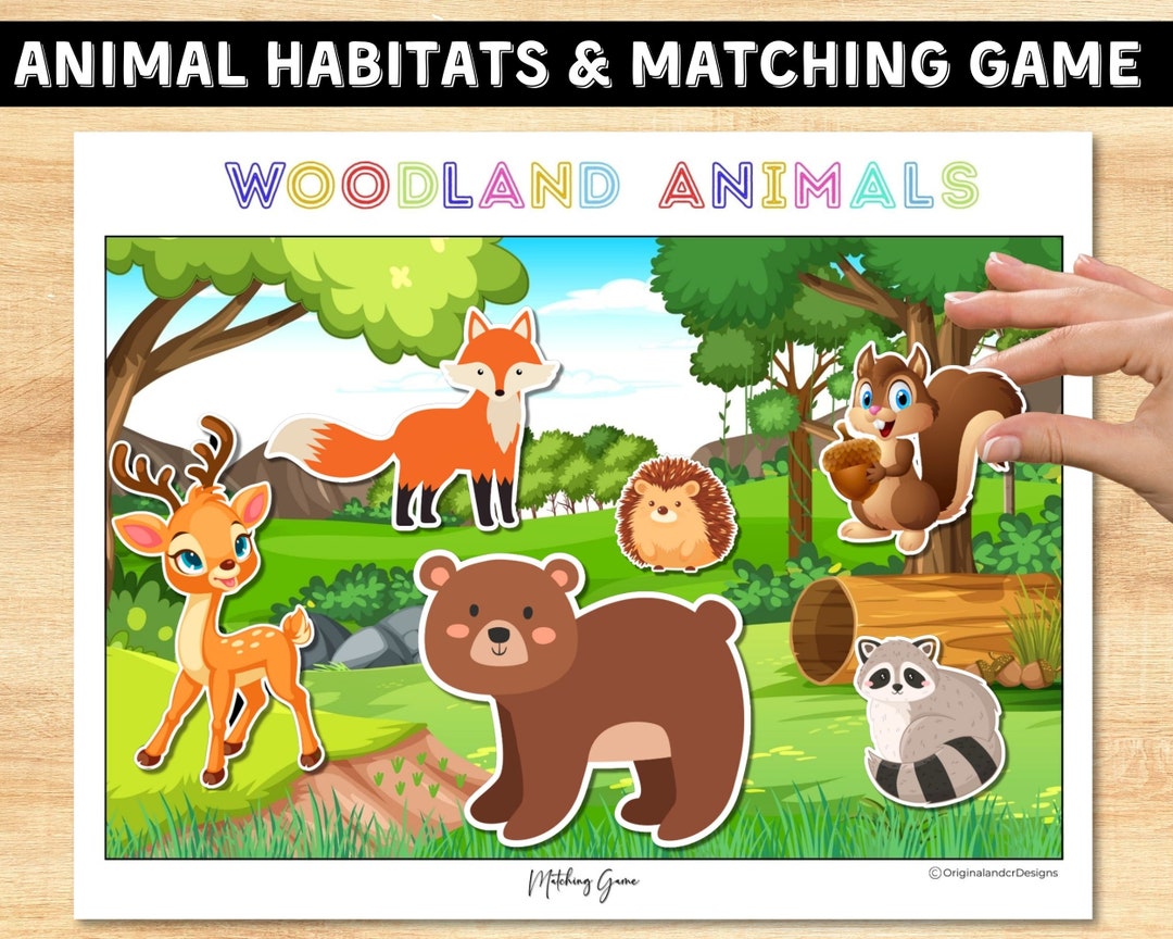 Animal Matchingprintable Animal Activity Animal Habitats - Etsy