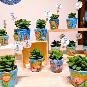 Succulents - mini succulents placeholder themed "THE LITTLE PRINCE"