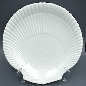 Wedgwood Nautilus Shell - Etsy