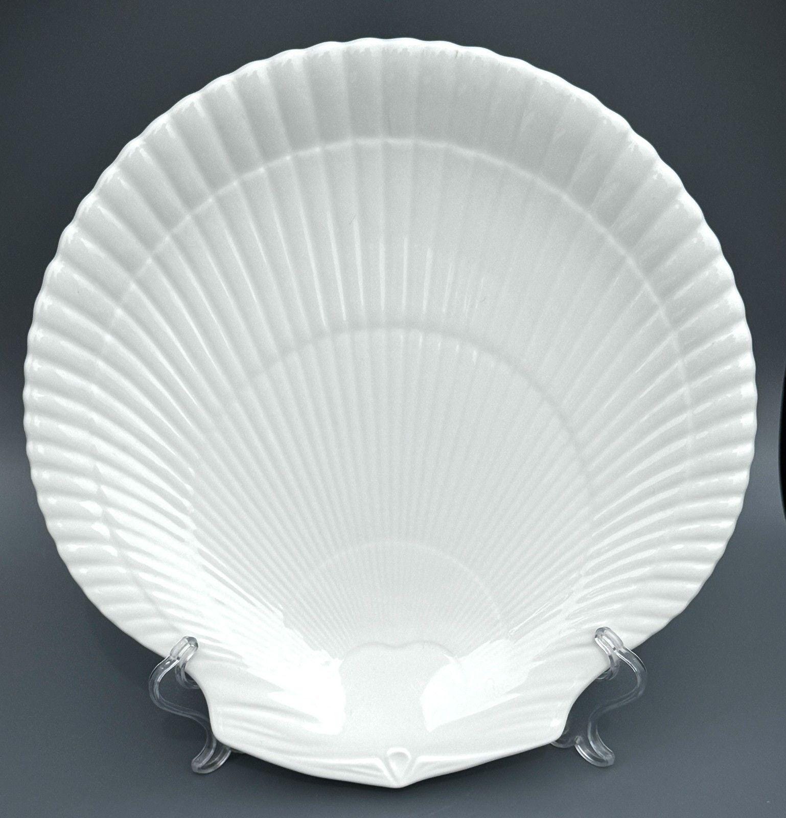 Wedgwood Nautilus Shell - Etsy