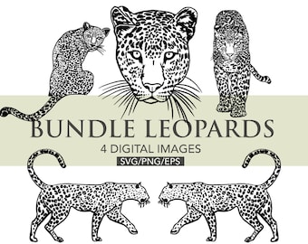 Leopard SVG files, bundle of 4 Leopard images for free personal and commercial use