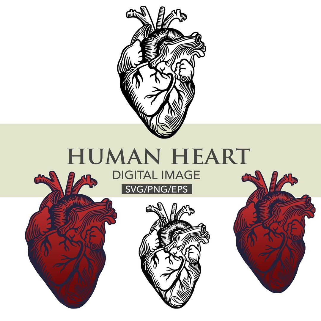 Human Heart Digital Files, Svg, Eps, Png, Instant Donwload - Etsy Canada