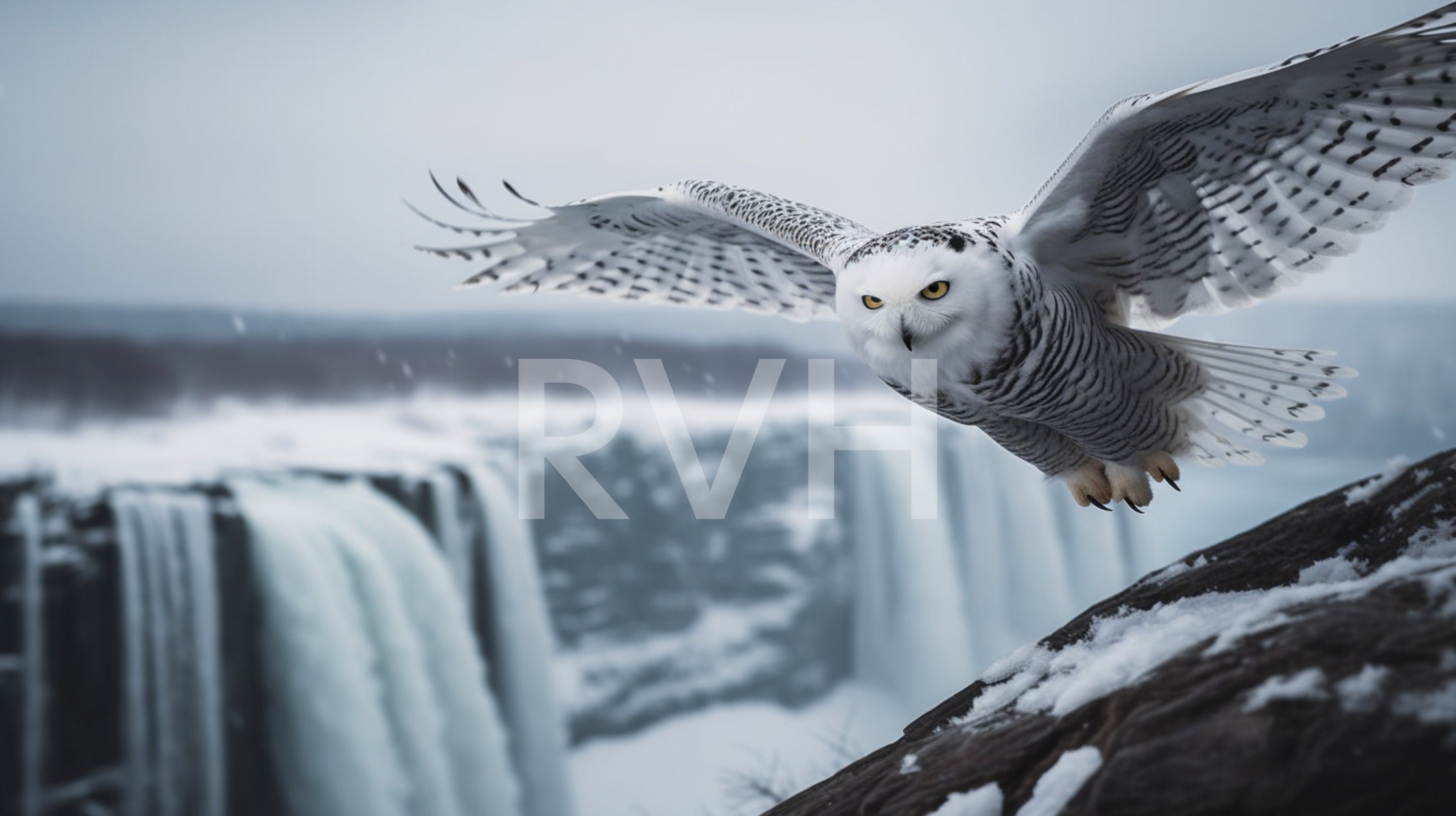 Snowy Owl Waterfall Art Prints: Set of 4 (Digital Download)