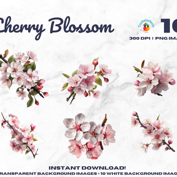 Cherry Blossoms Clipart - PNG Clip Art Bundle - Spring Flowers - Wedding Graphics - Social Media - Digital Download - 300 DPI