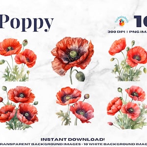 Watercolor Poppy Clipart - PNG Clip Art Bundle - Floral -  Spring - Summer - Weddings - Invitations - DIY Project -Digital Download