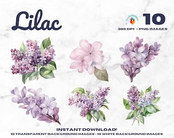 Könnte beinhalten: Aquarellillustrationen von Fliederblüten in verschiedenen Anordnungen. Das Bild enthält das Wort "Lilac" und den Text "INSTANT DOWNLOAD!" mit Details zu den Bildern.