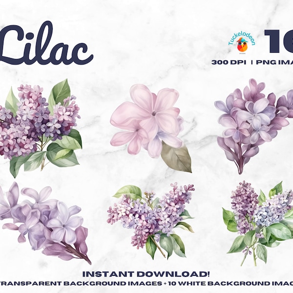 Watercolor Lilac Clipart - PNG Clip Art Bundle - Spring Flowers - Wedding Graphics - Invitations - Social Media - Digital Download - 300 DPI