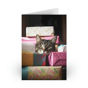Cat Surprise Birthday Card