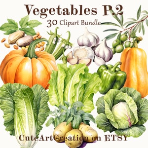 Clipart 30 légumes, partie 2, aquarelle de légumes, art culinaire, art numérique, usage commercial, scrapbooking, journal indésirable, téléchargement immédiat