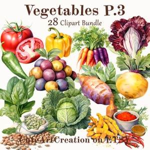 28 Gemüse Teil 3 Clipart, Aquarell Gemüse, Food Art, digitale Kunst, kommerzielle Nutzung, Scrapbook, Junk Journal, Instant Download