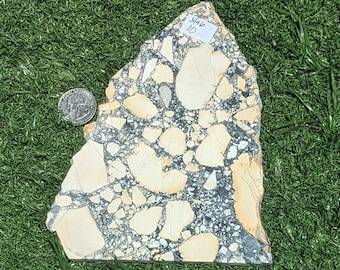 Maligano Jasper Slab, groot formaat voor cabber; 0,63 pond, cabochons maken of uitstallen. Plaat 10