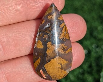 Jaspe y calcedonia, jaspe de escamas de dragón, cabujón de ágata de plumas de Timor, cabujón de lágrima mediana de Indonesia. TA 1.6