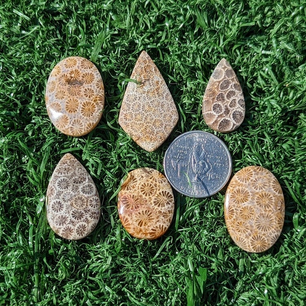 Fossil Coral Cabochon, From Indonesia. You Chose Gemstone.  Fossil coral rock, pendant, crystal, FC4.0