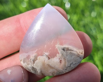 Agatized Petrified Wood Circle Shape Cabochon, Petrified Wood cabochon for jewelry making.  APW 2.4