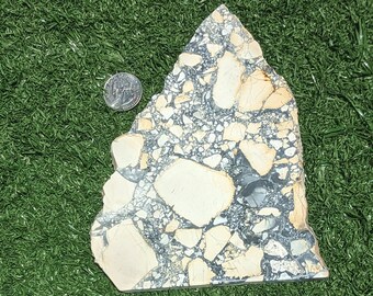 Maligano Jasper Slab, groot formaat voor cabber; 0,72 pond, cabochons maken of uitstallen. Plaat 8
