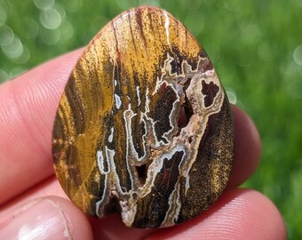 Colorful Petrified Wood Cabochon, Red and Yellow Indonesian Petrified Wood cabochon for jewelry making.  APW 3.2