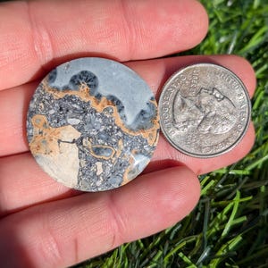 Puede incluir: Una piedra redonda y pulida con un patr&oacute;n &uacute;nico de colores grises, beige y blancos. La piedra se sostiene junto a una moneda de veinticinco centavos para comparar el tama&ntilde;o. La superficie de la piedra tiene un aspecto veteado.