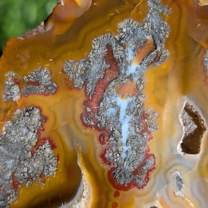 May include: Close-up of a polished agate stone with a mix of colors. The stone features bands of yellow, orange, and brown, with areas of gray and red. A central vein of light blue runs through the stone.