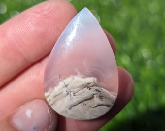 Agatized Petrified Wood Teardrop Shape Cabochon, Petrified Wood cabochon for jewelry making.  APW 2.5
