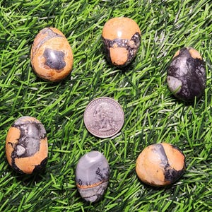 May include: Several polished stones in orange, brown, and grey hues, displayed on green grass. The stones, of varying shapes and sizes, are accompanied by a coin for scale. Each stone features unique patterns and textures.